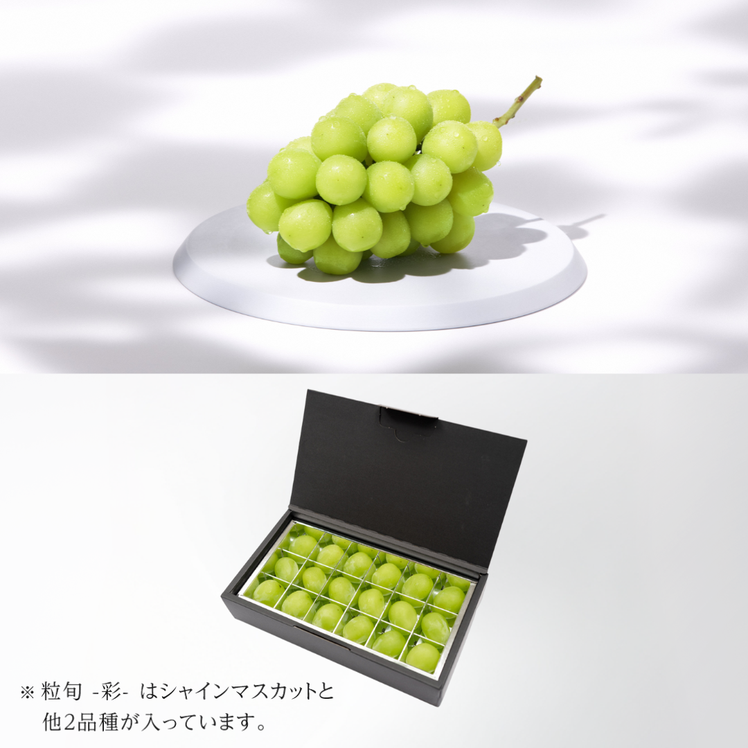 【セール】福袋/福箱ファッション通販 表旬 シャインマスカット(1房) & 粒旬-彩-【販売期限2024年9月24日】 パーツ