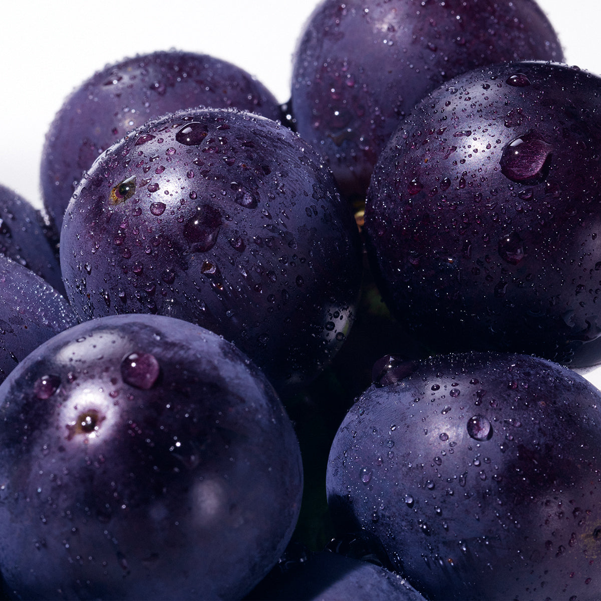 巨峰　出品　13個 ZIPで紹介！】ぶどう2種（シャインマスカット・巨峰ゼリー）食べ