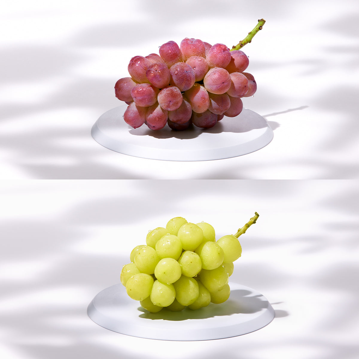 裏旬 バイオレットキング・雄宝 セット（各1房）【販売期限2025年4月8