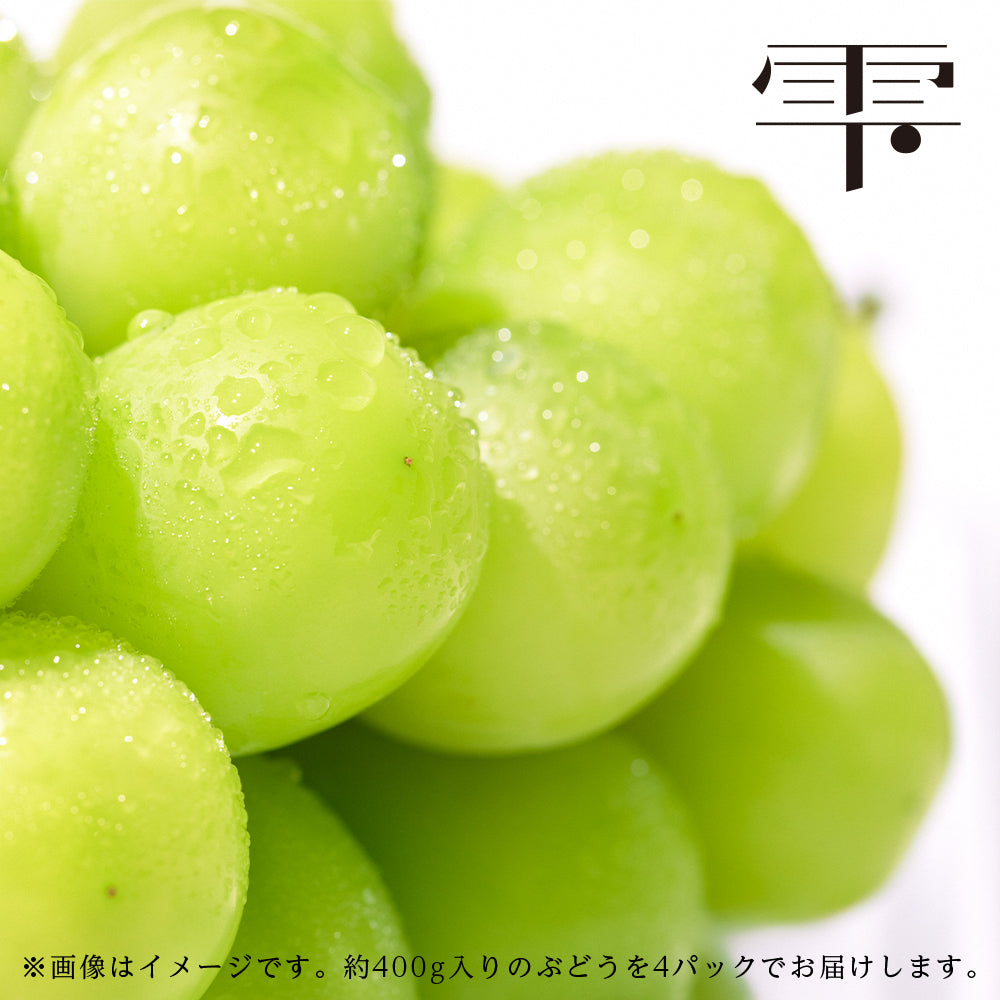 【マスカット様】 シャインマスカット – 株式会社GREENCOLLAR