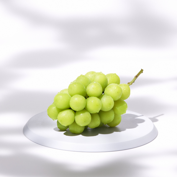 表旬 シャインマスカット(2房セット)【販売期限2023年10月4日 表旬 シャインマスカット(2房セット)【販売期限2023年10月4日