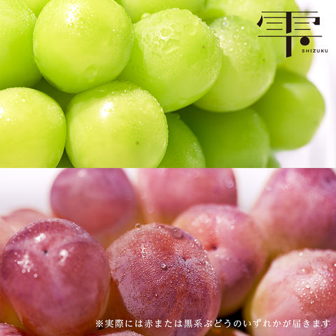 表旬 -雫- 彩（400g×2パック）【販売期限2026年10月21日】