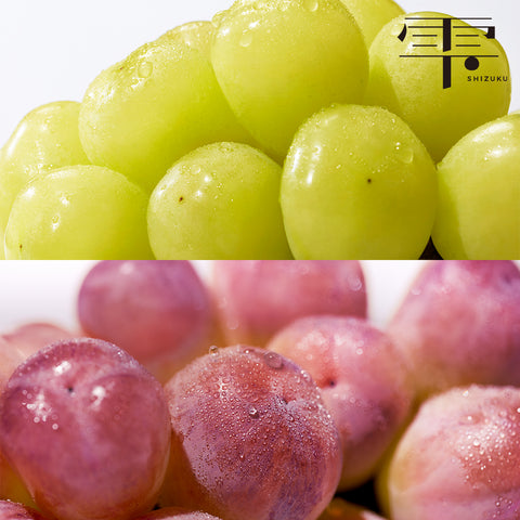 裏旬 -雫- 雄宝・バイオレットキングセット（約350g×各1パック）【販売期限2026年4月7日】