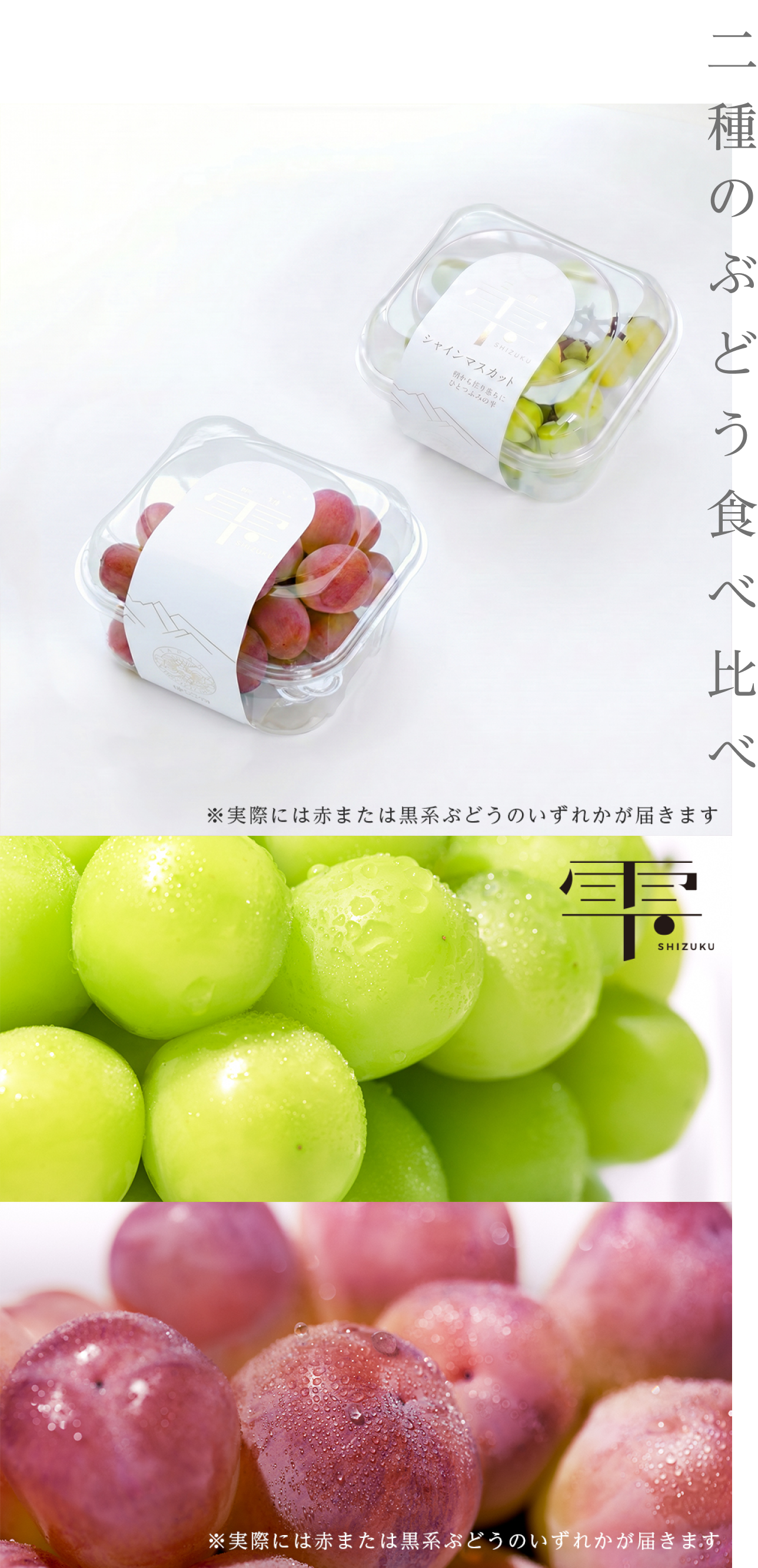 ぶどう食べ比べ2種