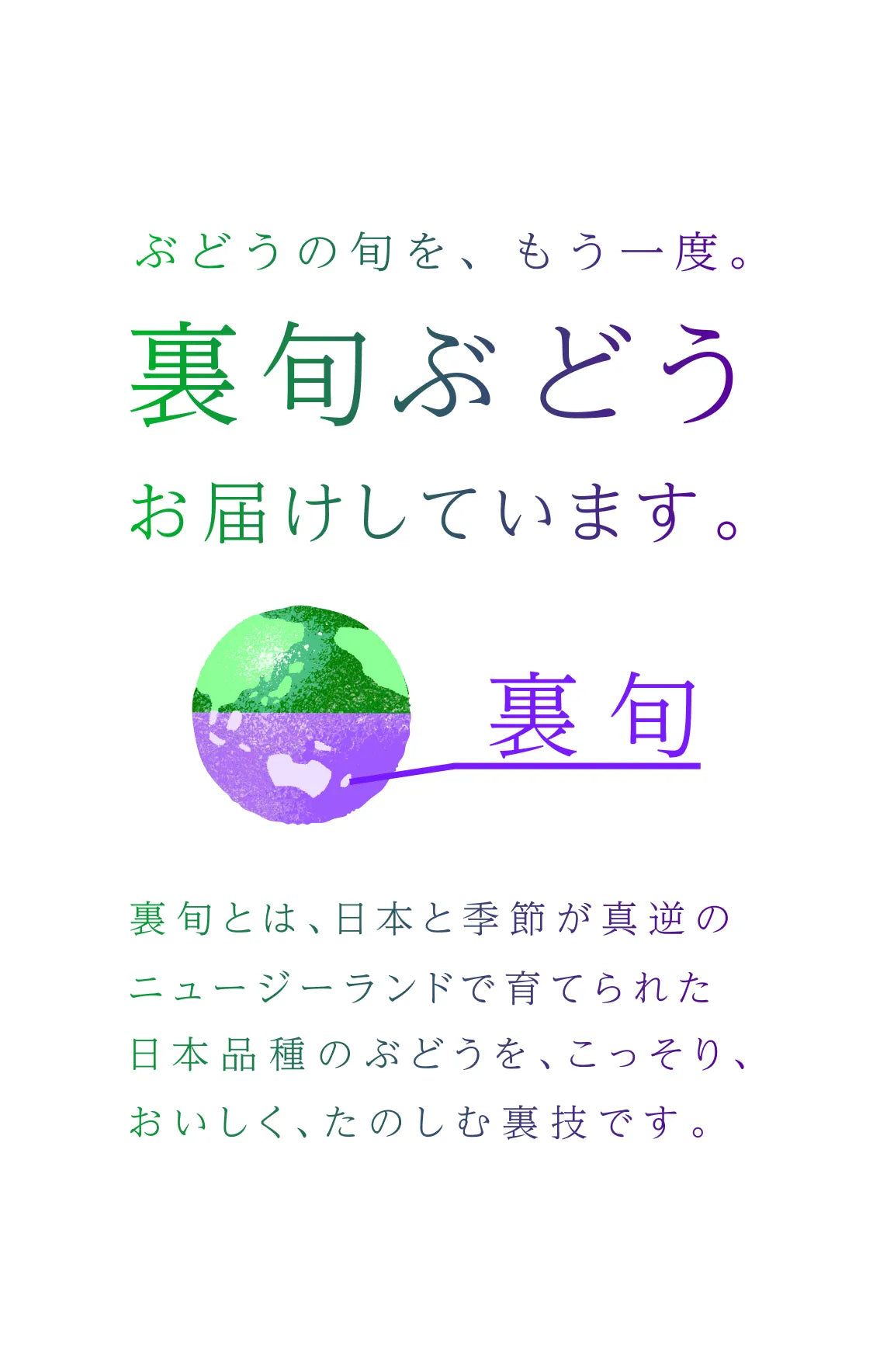 ぶどうの旬を、もう一度。裏旬ぶどうお届けしています。裏旬とは、日本と季節が真逆のニュージーランドで育てられた日本品種のぶどうを、こっそり、おいしく、たのしむ裏技です。