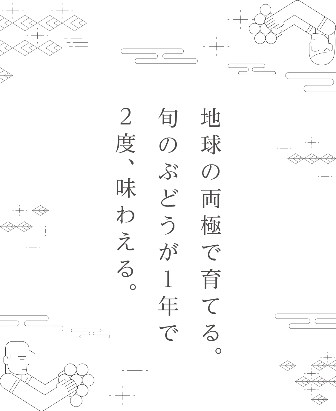 地球の両極で育てる。旬のぶどうが1年で2度、味わえる。