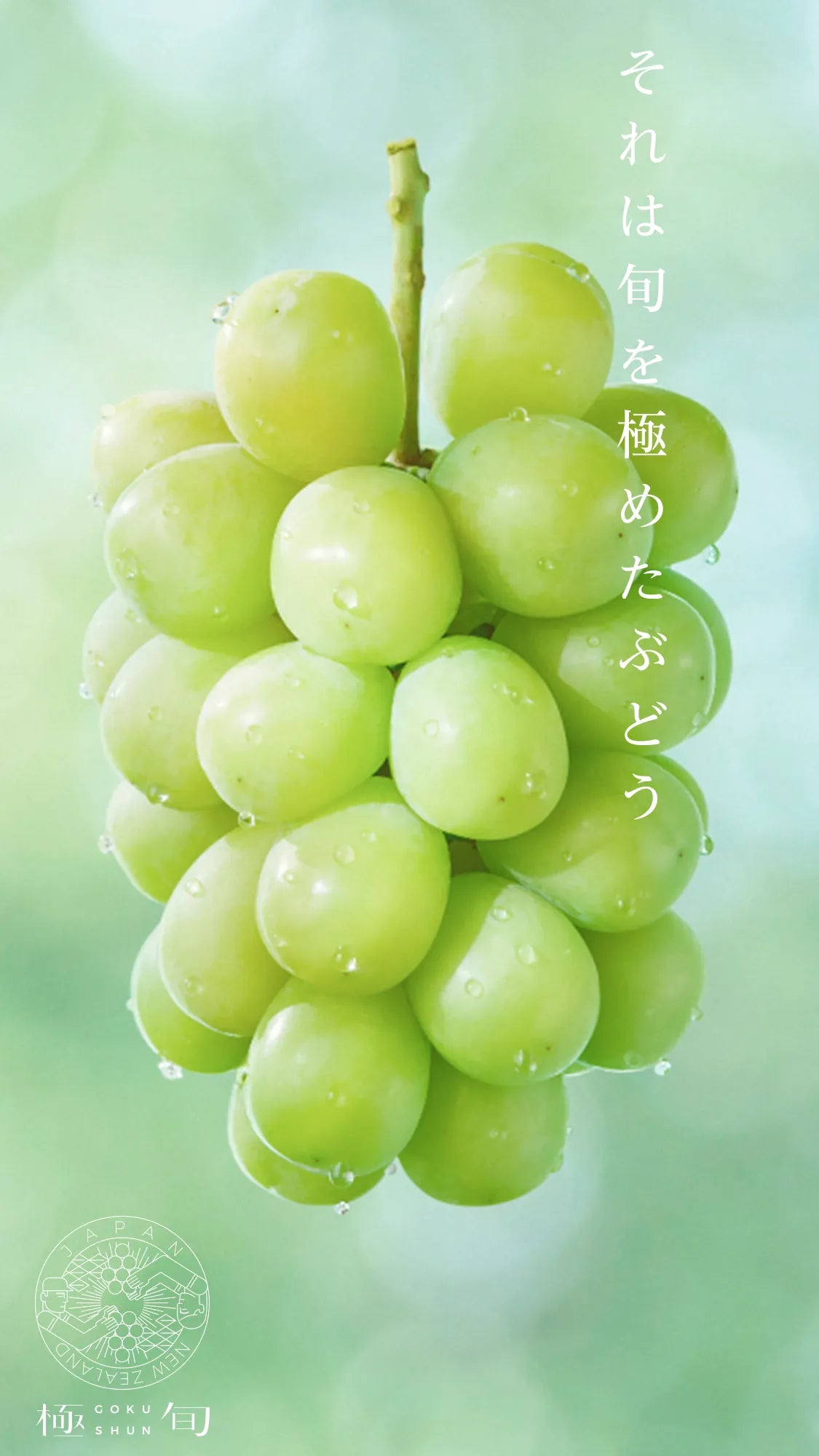 それは旬を極めたぶどう