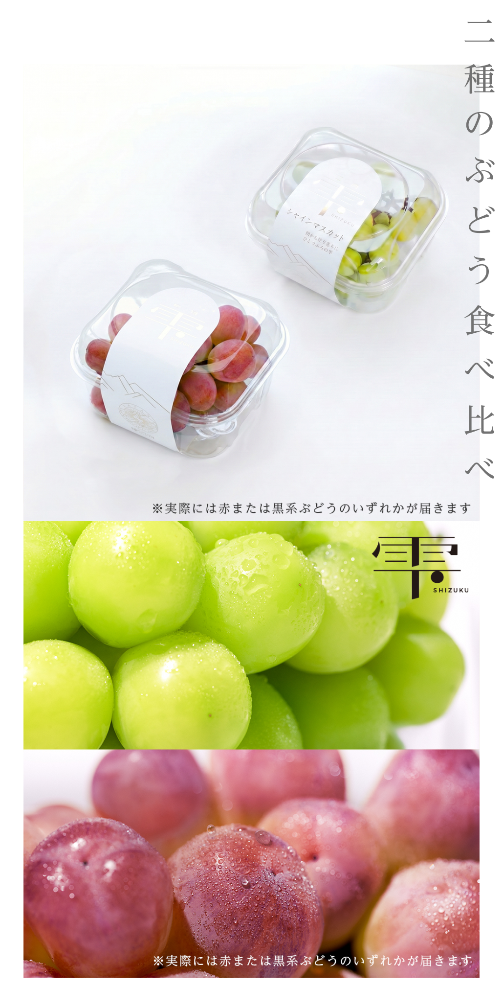 ぶどう食べ比べ2種